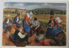 CP N°11 , ILLUSTRATION