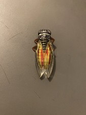 Ancienne broche cigale lucite? art deco insecte 1930? vintage porte bonheur