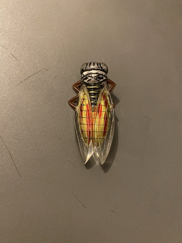 Ancienne broche cigale lucite