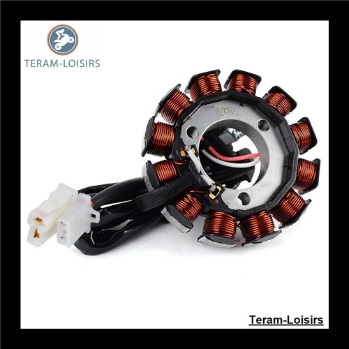 Stator allumage pour yamaha - stator,