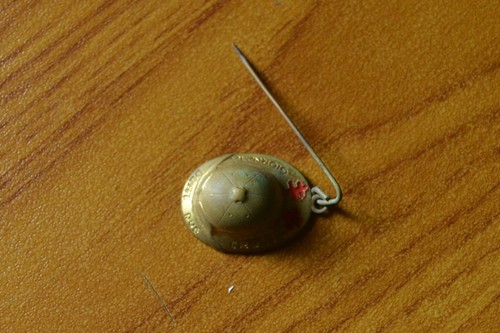 Vieux pins broche - vieux,