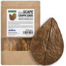Myscape-Catappa Lot de 10