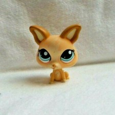 LITTLEST PETSHOP LPS #1656 HASBRO DOG CHIEN CHIHUAHUA BEIGE BLANC YEUX BLEU