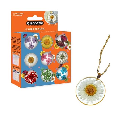 Lcc30 acc2 cléopâtre boite - [lcc30-acc2],