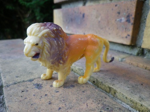 Animaux zoo superbe lion - du,