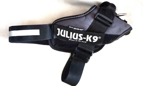 Harnais julius gris noir - harnais, et