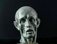 Head bust by Houdon "Ecorche"