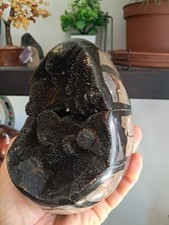 Septaria - 2,17 Kg .