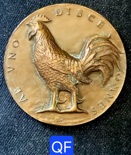 Belle médaille bronze - 50, mm-