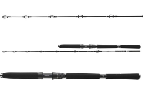 Daiwa deep sea canne mer - sea,