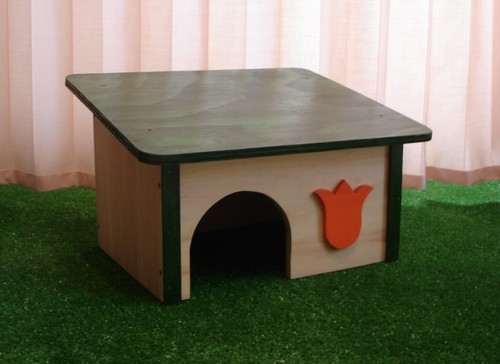 Maison pour tortues terre - tortues, de