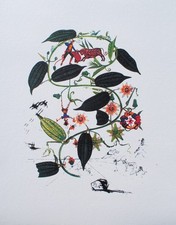 Salvador DALI : Passiflore 