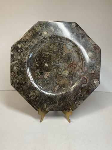 Plaque marbre ammonites - marbre, d’ammonites