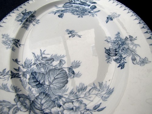 Plat ovale service - 39, flore
