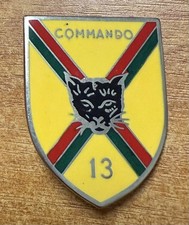 INSIGNE R74 " COMMANDO 13