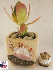 Succulent Plant Flower Ceramic