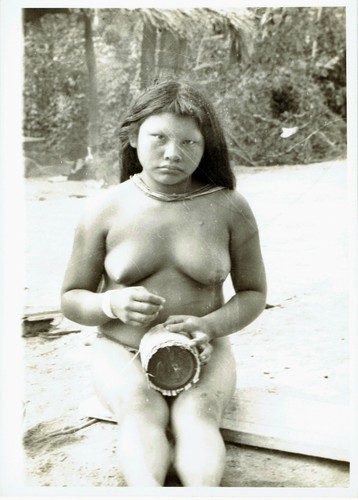 Amerique sud amazonie - sud,