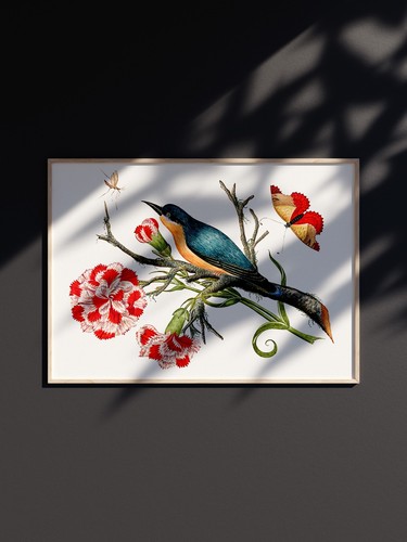 Illustration botanique xviiie - illustration,