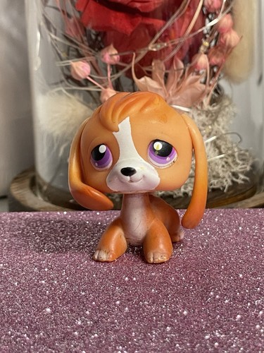 Petshop chien beagle - 🌸petshop,