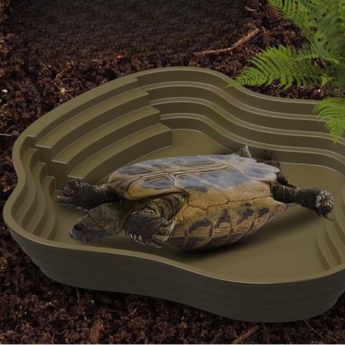 Piscine baignade reptile - de,