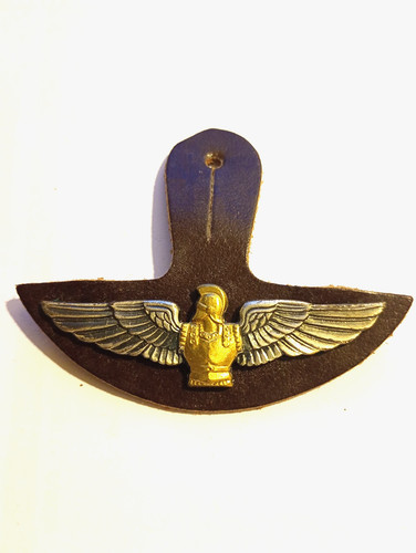 Insigne pucelle vintage du - pucelle,