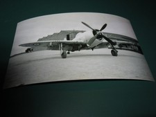 Photo Avion P-47D Thunderbolt Base de Meknés Maroc 03/1946 Aviation Française