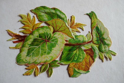 Chromo decoupis ancien - ,