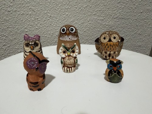 Lot petites chouettes - lot, en