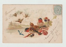 Chardonnerets....... Oiseaux.  CPA 6248