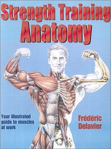 Anatomie entraînement de - de,