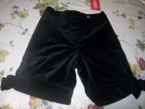 Nwt gymboree family portrait - nwt,