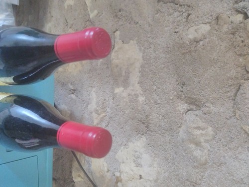 Grange des pères 1996 - des,