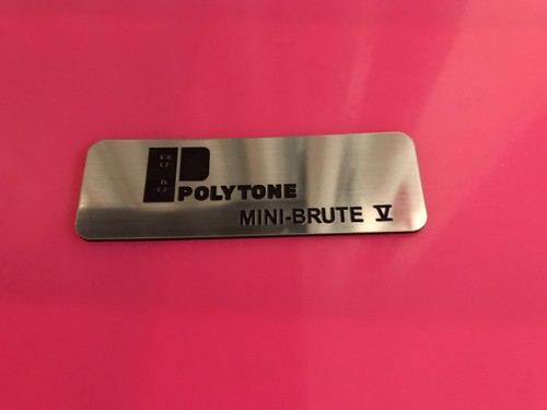 Polytone logo badge - polytone,