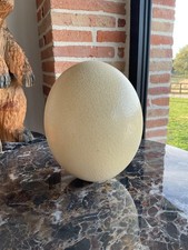 Oeuf autruche vintage