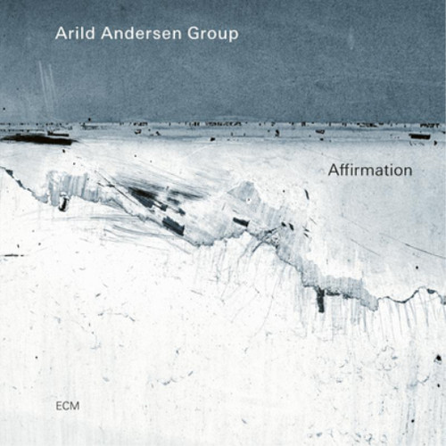 Arild andersen group - andersen,