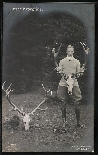 Carte postale prince - carte,
