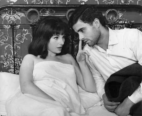 Parapluies cherbourg photo - parapluies, de