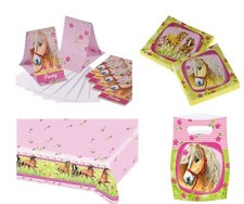 lot kit pack anniversaire Cheval 1 nappe 6 invitations 6 sachets 20 serviettes