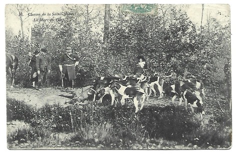 Sport chasse courre - a,