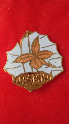 Insigne marine dragueur - insigne,
