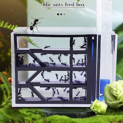 Habitat ferme fourmis - habitat,