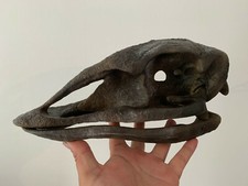 Crane d'Oiseau Elephant