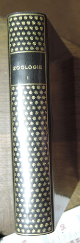 Zoologie encyclopédie la - zoologie,