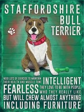 Staffordshire Bull Terrier Grand Acier Signe 400mm x 300mm