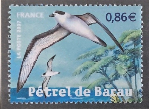 France timbre 4036 pétrel - france,