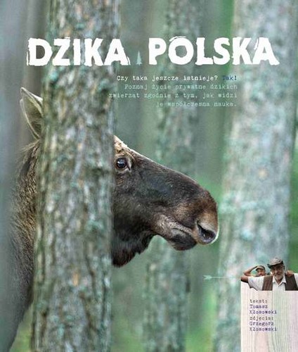 Dzika polska tomasz kłosowski - polska,
