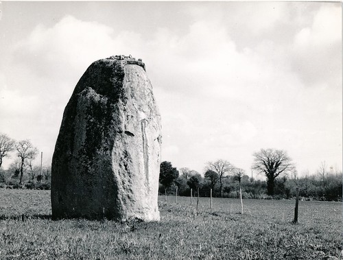 Environs avrille 1960 - environs, c.