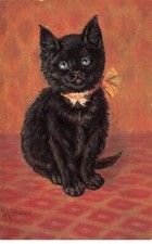 Animaux - Chat noir portant un