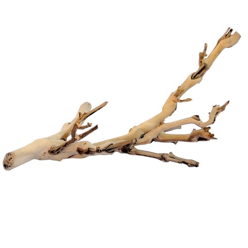 Exo terra forest branch small - exo,