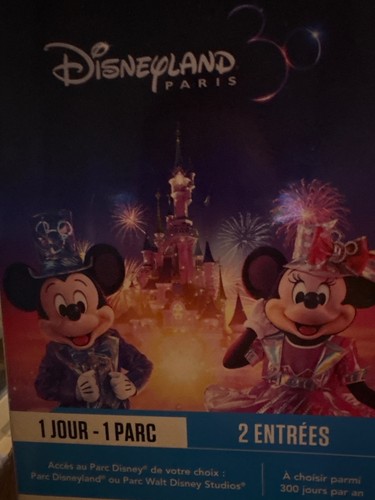 Billets disneyland - billets,